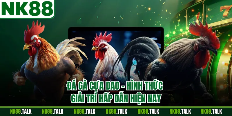 Đá Gà Cựa Dao - Hình Thức Giải Trí Hấp Dẫn Hiện Nay